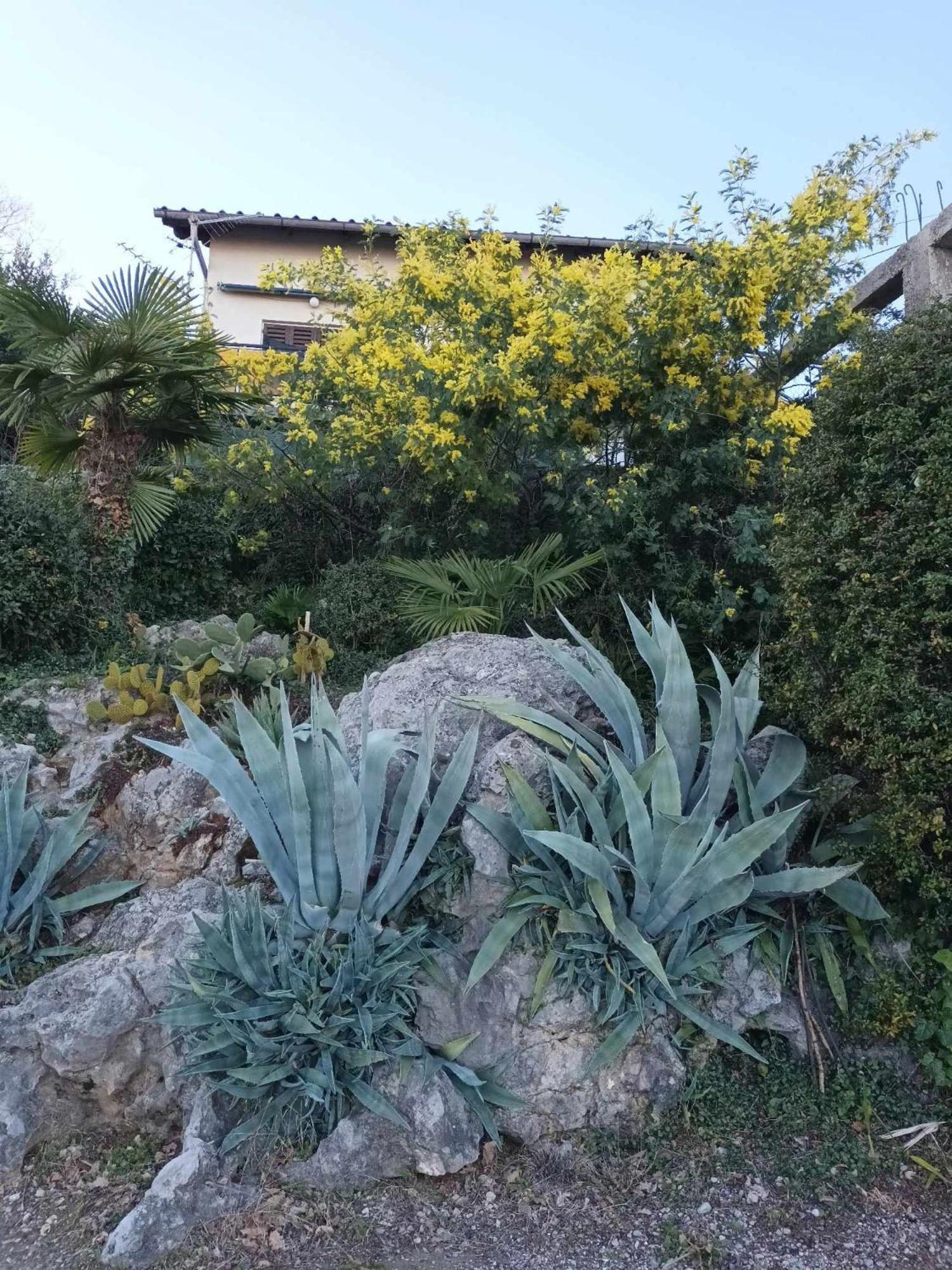 Apartment Relax Opatija Exterior photo